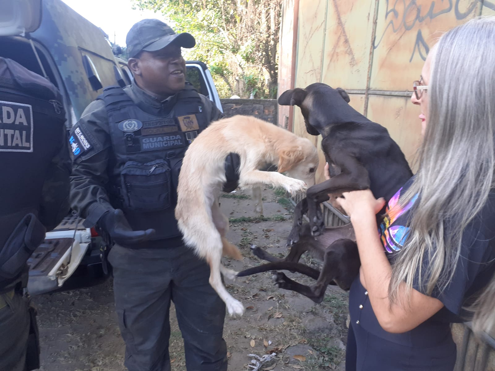 Animais em situação de abandono são resgatados em Barra Mansa