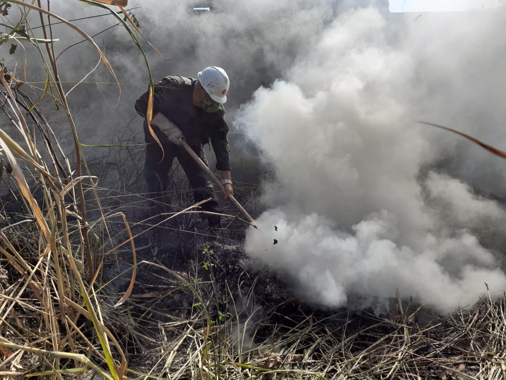 Incêndio é combatido por brigada voluntária às margens da Dutra, em BM