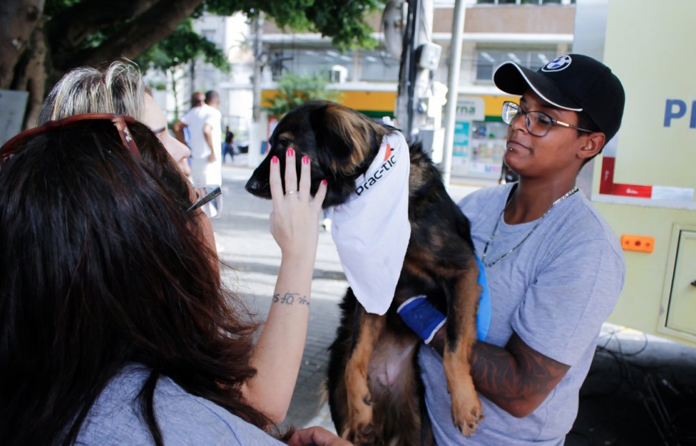 Barra do Piraí divulga números da Campanha de Prevenção aos Maus Tratos de Animais