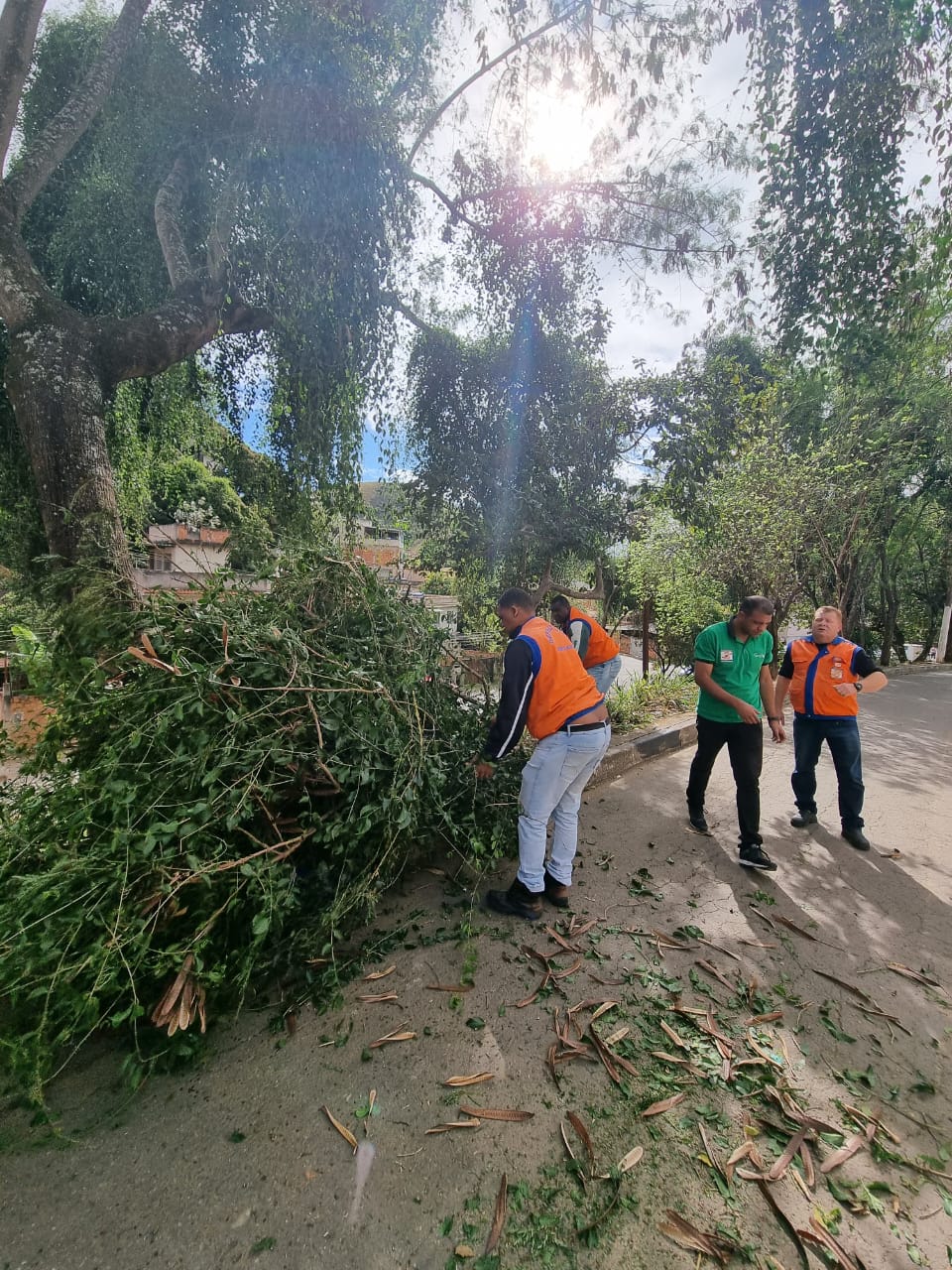 Barra Mansa registra queda de árvore na Vila Coringa em passagem de ciclone extratropical pela região