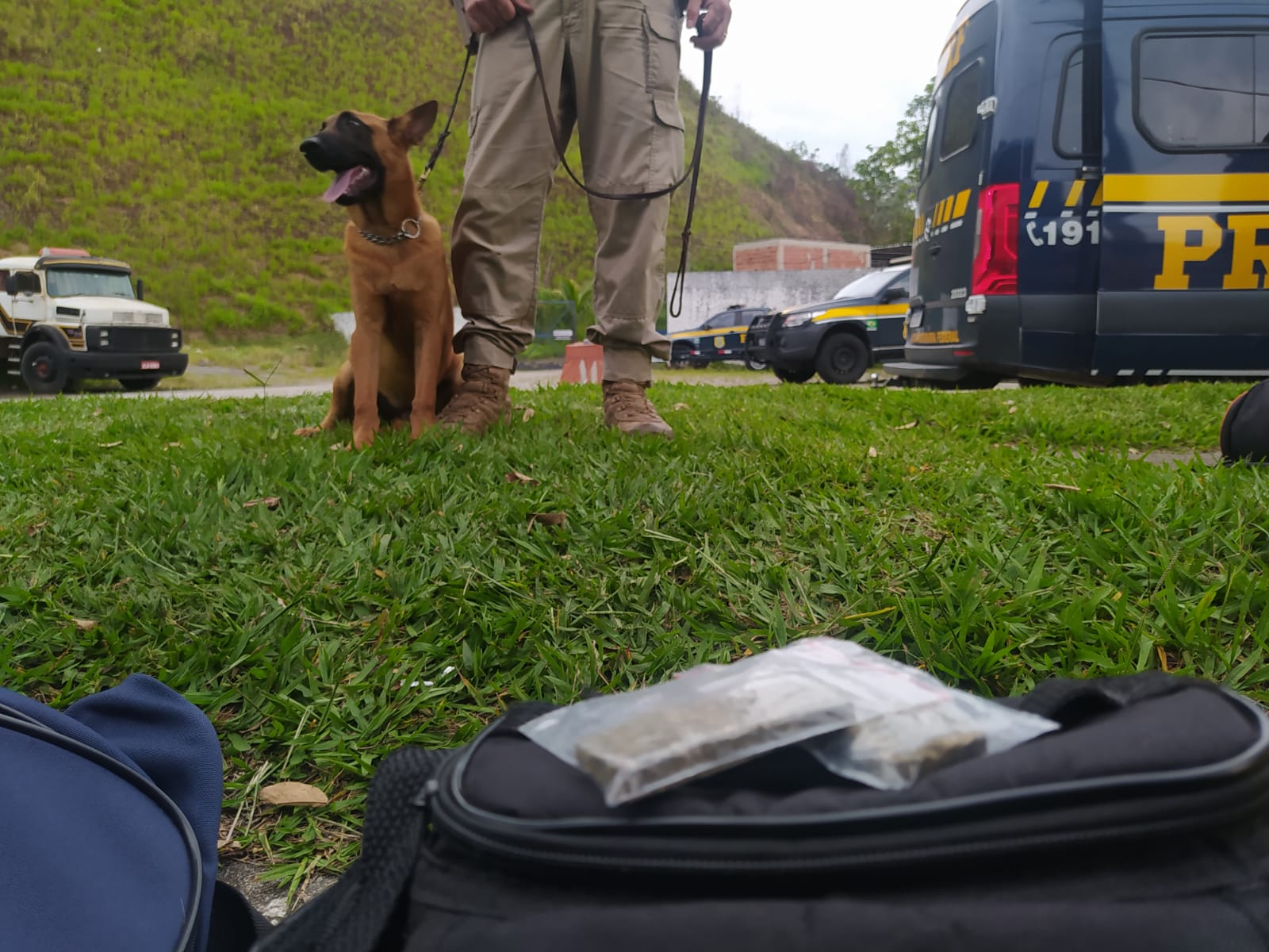 PRF flagra passageiro de ônibus com maconha na Dutra