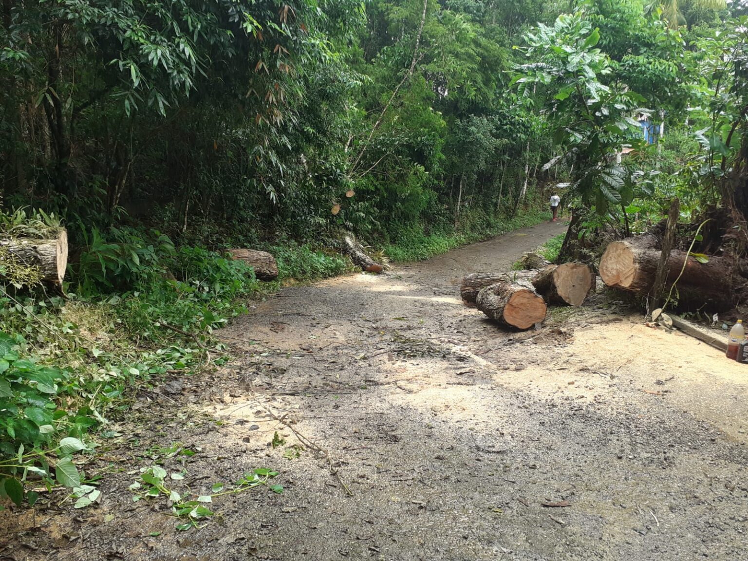 Chuvas: Defesa Civil registra duas ocorrências neste sábado em Itatiaia