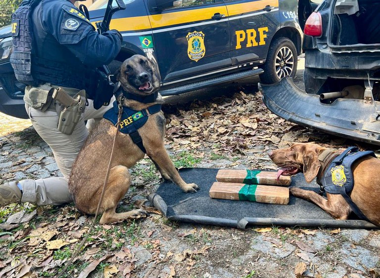 PRF apreende aproximadamente 4 quilos de cloridrato de cocaína na Dutra