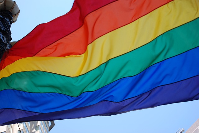 Grupo Arco-Íris recebe certificado por promover memória social LGBTI+