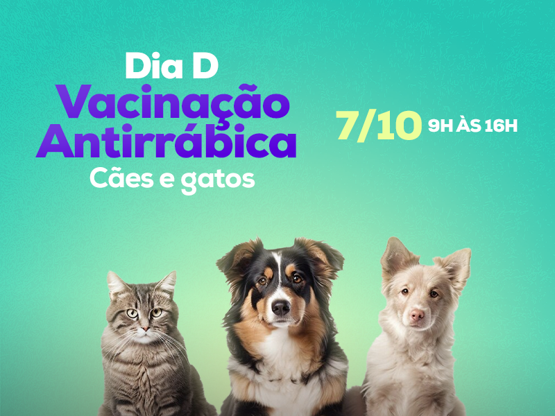 Angra tem Dia D de Vacinação Antirrábica neste sábado, 07