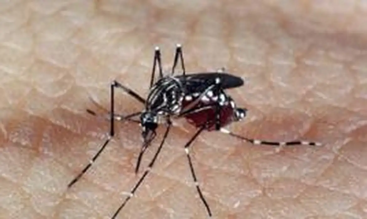 Estado do Rio registra mais de 17 mil casos de dengue este ano