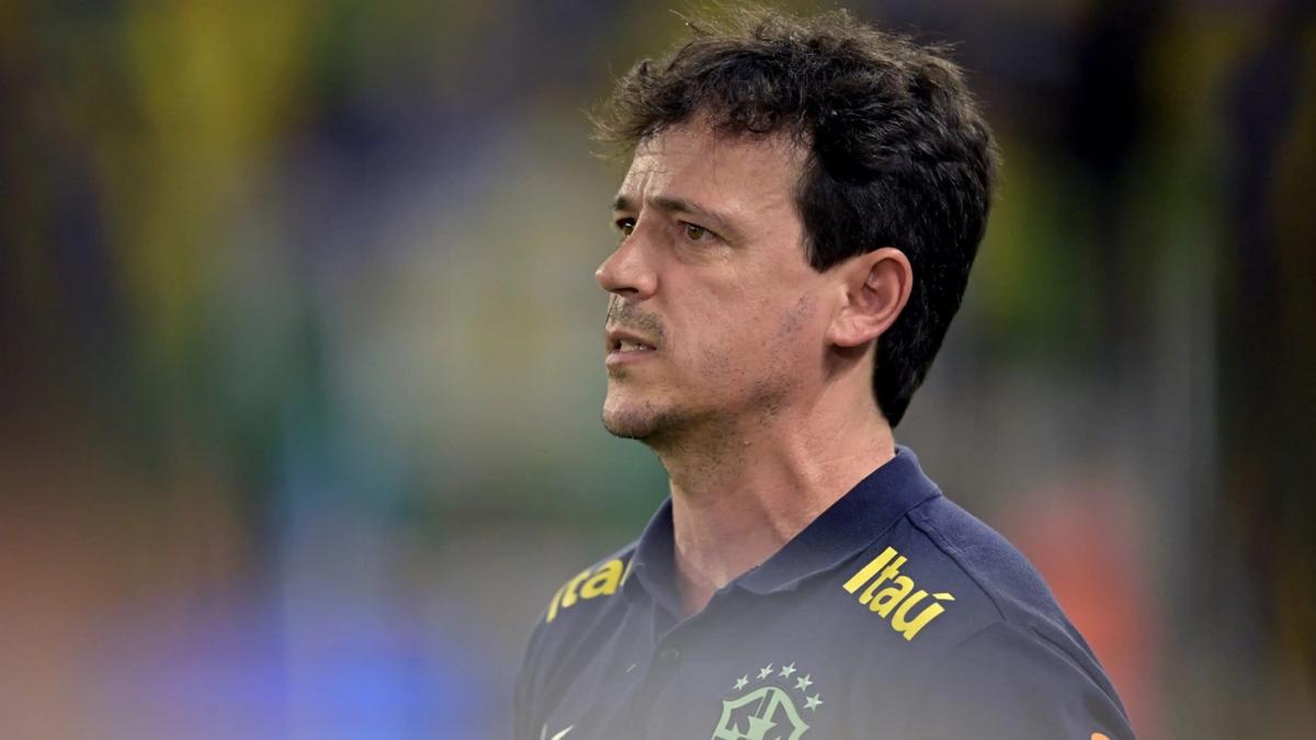 Fernando Diniz é demitido pela CBF