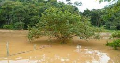 Defesa Civil de Barra do Piraí alerta para elevação no Rio Paraíba do Sul nas próximas horas