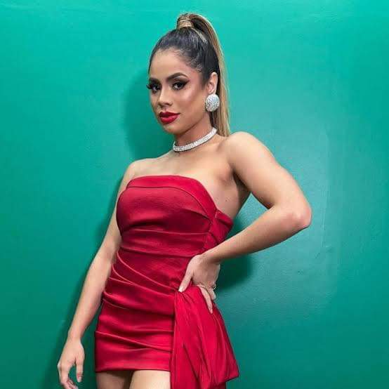 Foliões reclamam de show curto da cantora Lexa em Barra do Pirai