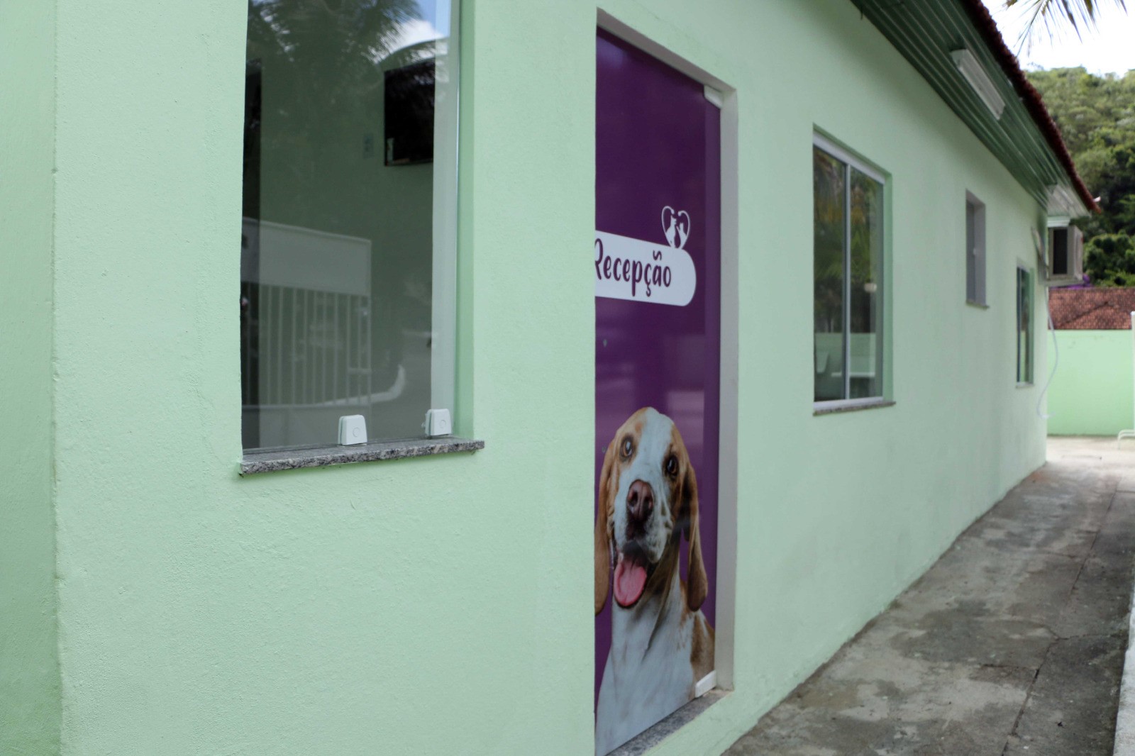 Clínica Veterinária Municipal de Barra Mansa é alvo de assaltantes