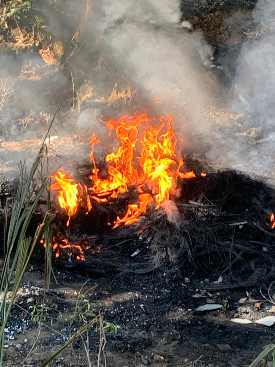 Guarda Ambiental flagra queima de pneus no bairro Paraíso