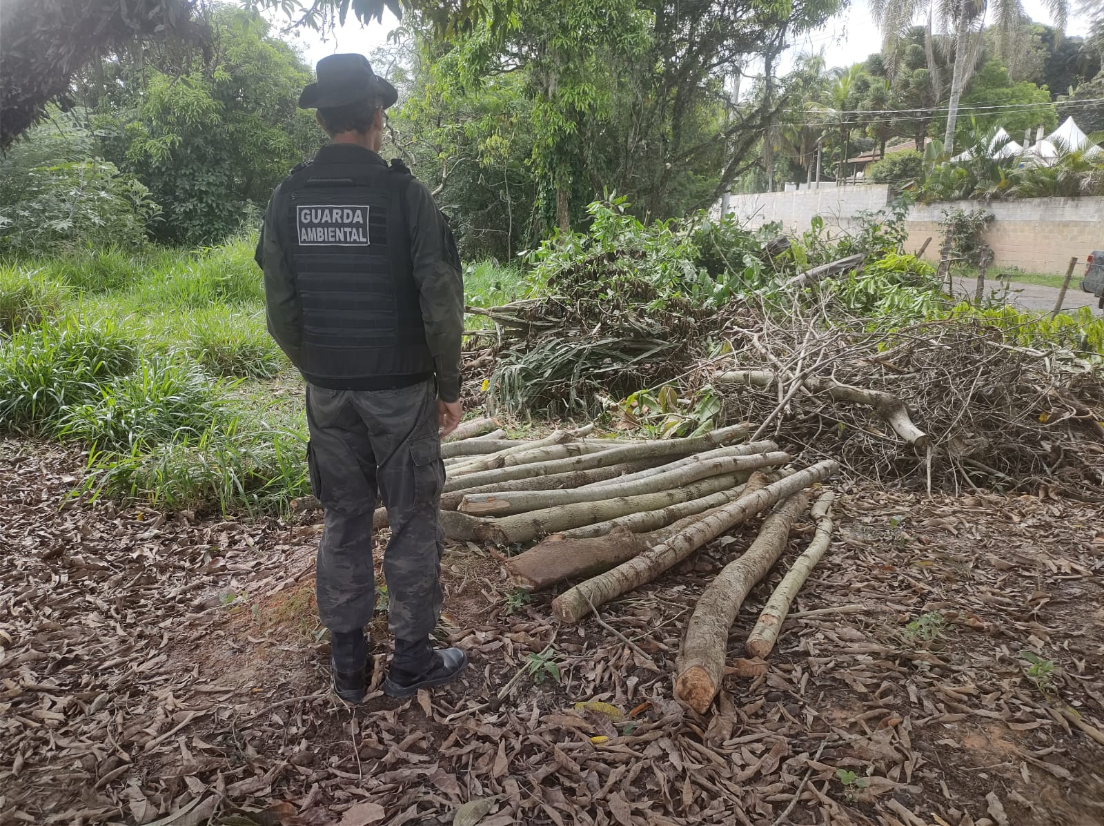Homem é autuado por corte irregular de 20 árvores em Barra mansa