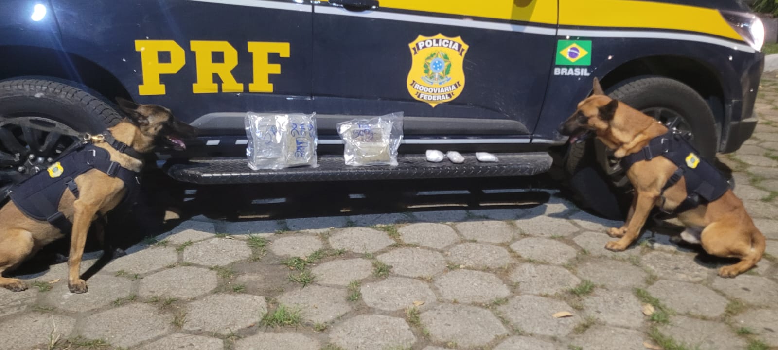 PRF prende jovem por tráfico de drogas em Piraí