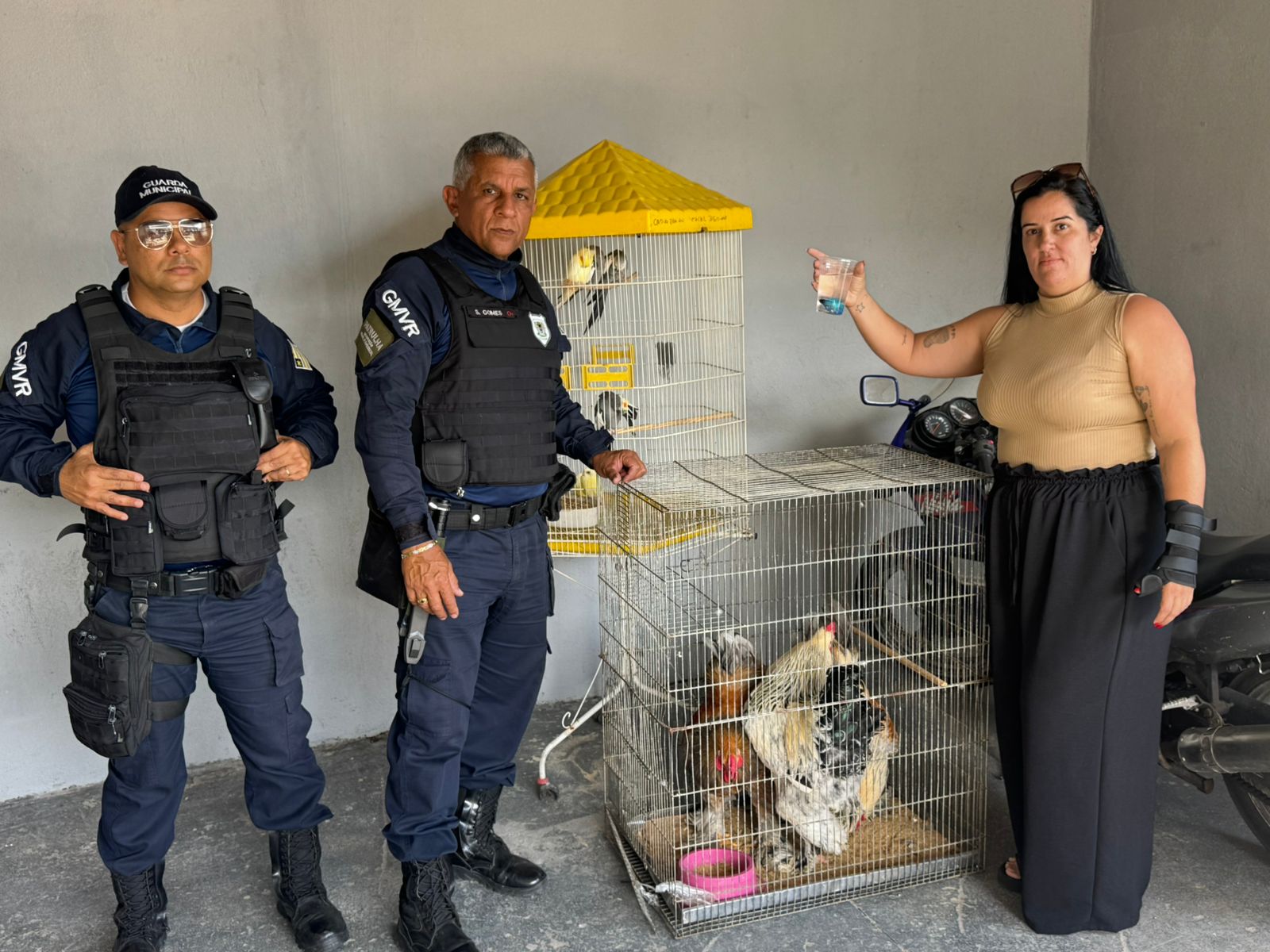 Animais mantidos em condições irregulares são apreendidos no Aterrado em Volta Redonda