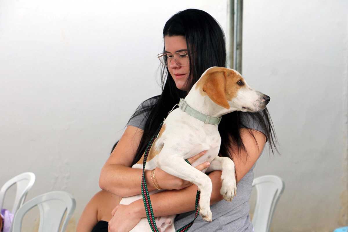 Barra Mansa abre inscrições para castração gratuita de cães e gatos
