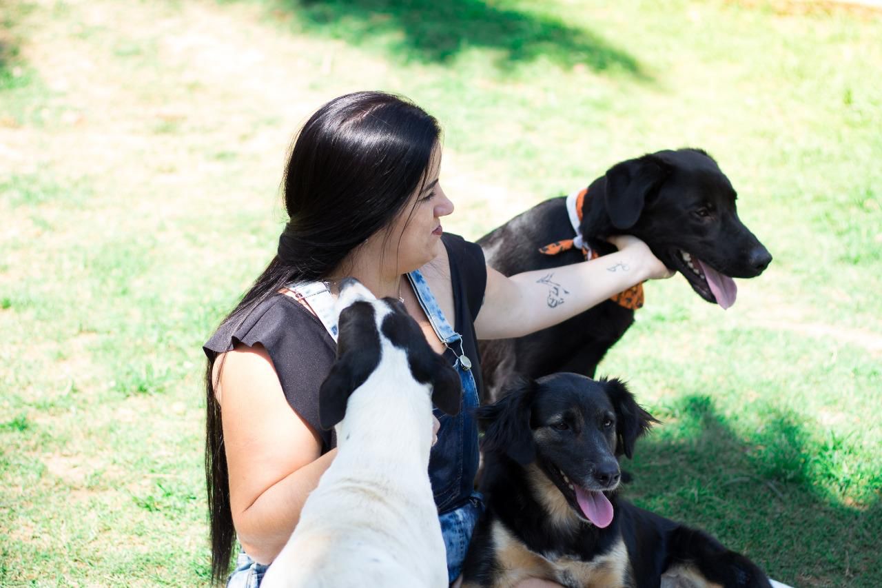 Volta Redonda abre cadastro para protetores independentes e entidades de proteção animal