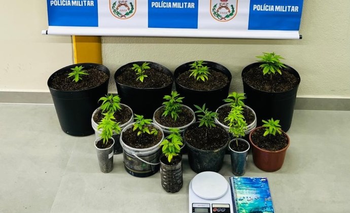 Homem é preso em Paraty por cultivar maconha em casa após denúncia anônima
