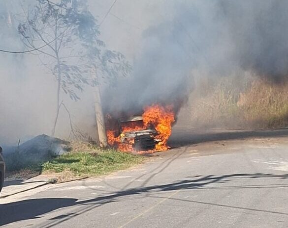 Incêndio em carro se espalha para área de mata em condomínio de Volta Redonda