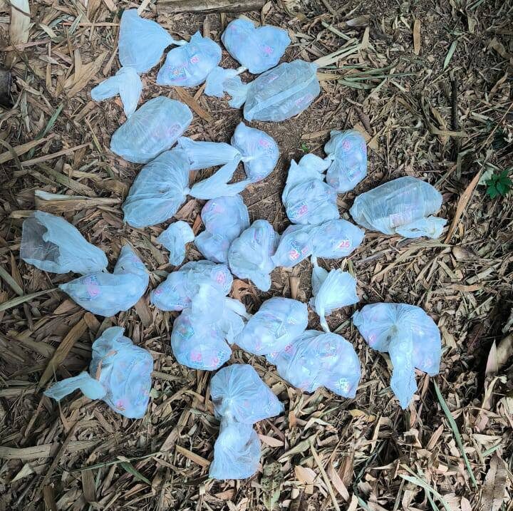 Polícia encontra grande quantidade de drogas escondida em área de mata em Valença