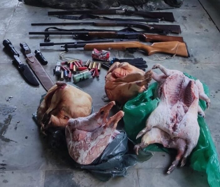 Fiscalização ambiental apreende armas, munições e pacas abatidas em propriedade rural de Valença