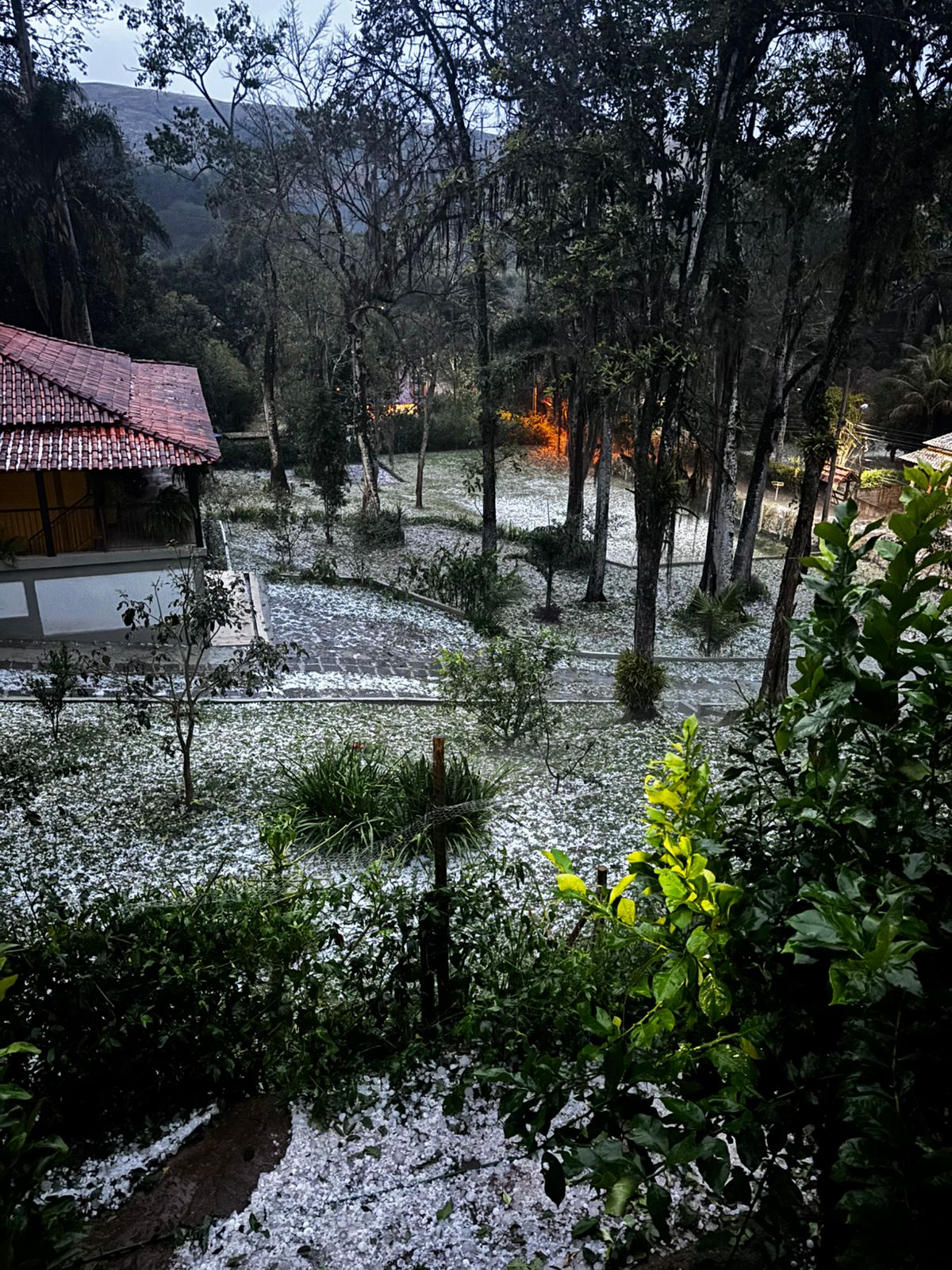 (VÍDEO) Temporais causam quedas de árvores, granizo e transtornos em cidades da região