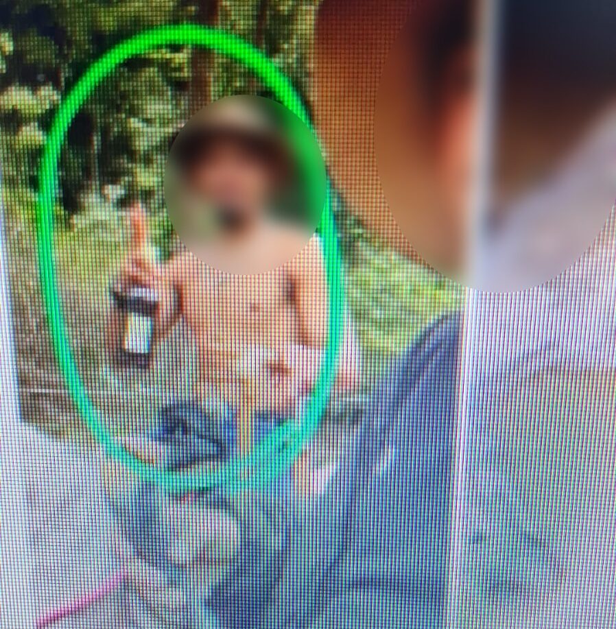 ABSURDO! Cavalo tem patas decepadas a golpes de facão em Bananal