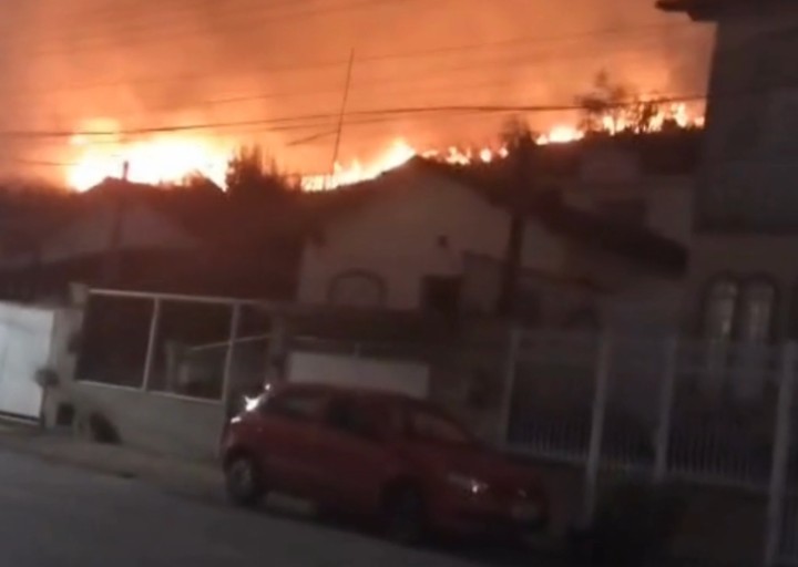 URGENTE: Incêndio em área de mata no Siderópolis ameaça Floresta da Cicuta, em Volta Redonda