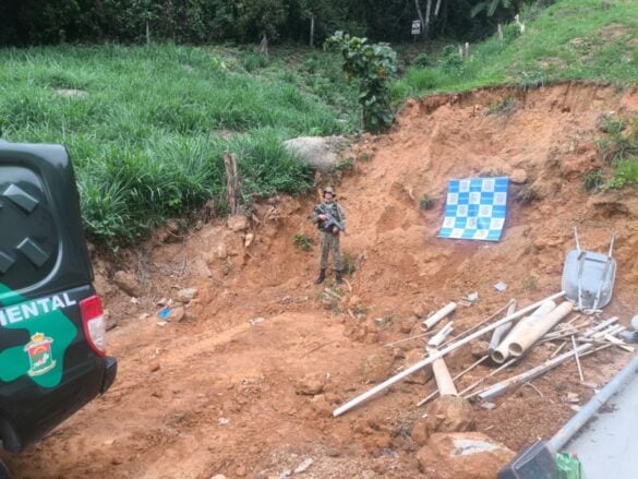 Operação policial flagra crimes ambientais em Angra dos Reis