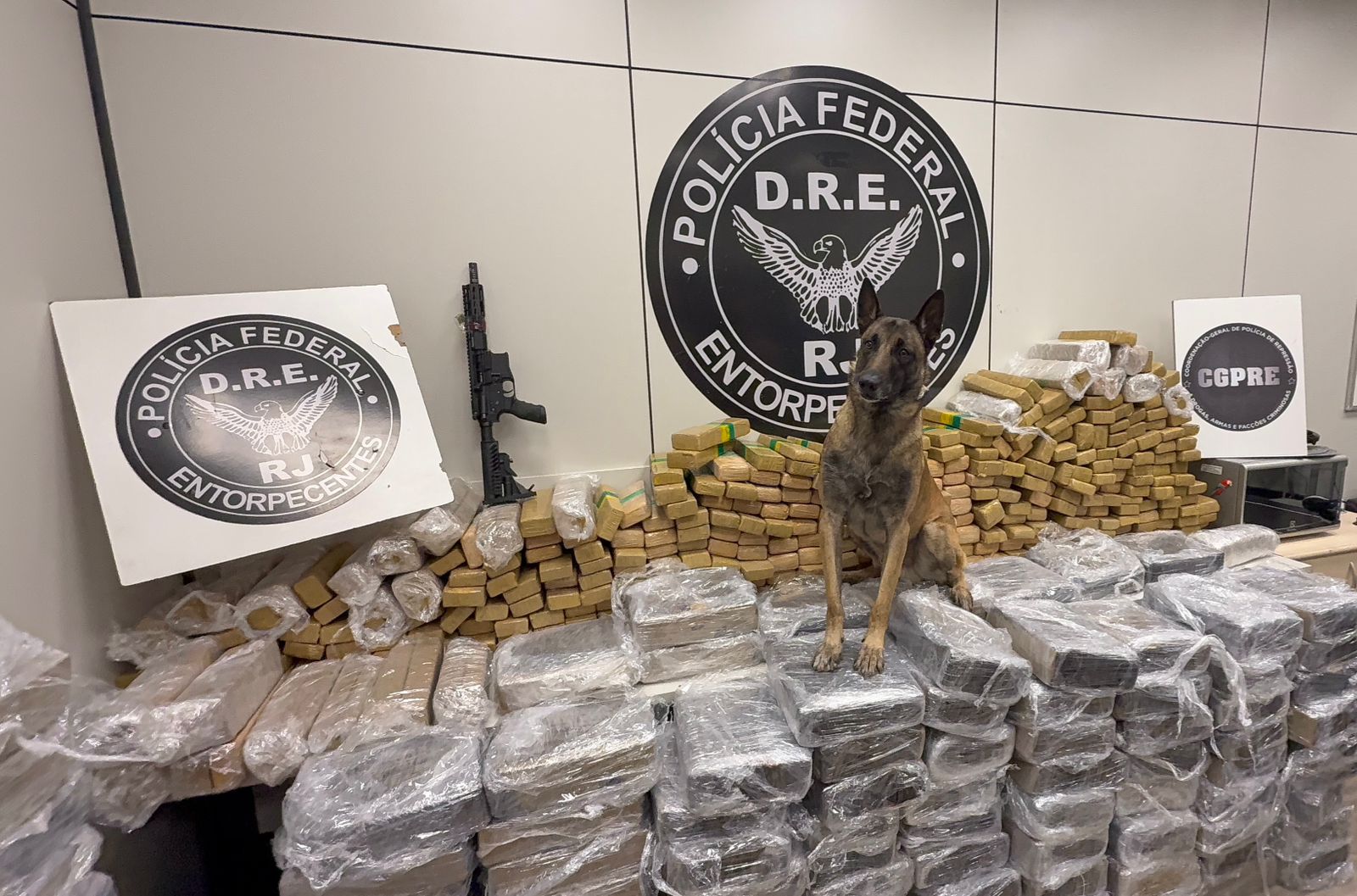 PF prende caminhoneiro com cerca de 1 tonelada de maconha e um fuzil em Piraí