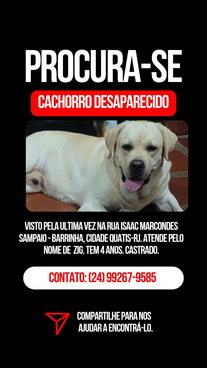 Família procura por cachorro desaparecido em Quatis e pede ajuda nas redes sociais