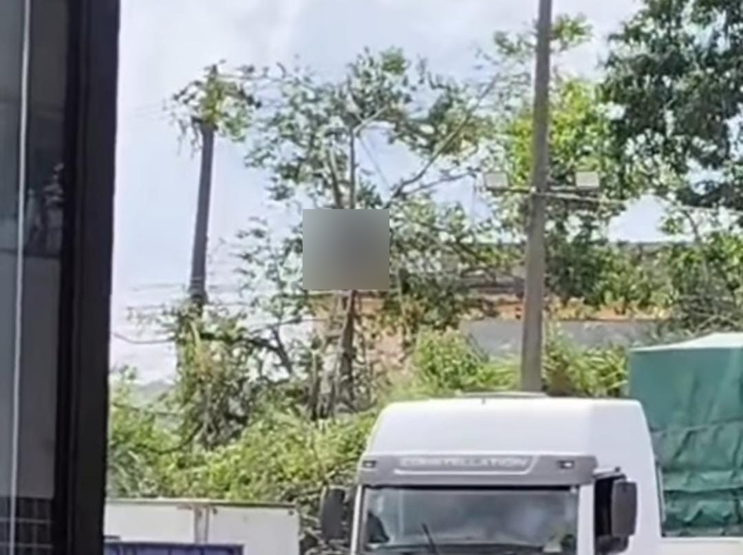 Trabalhador morre após choque elétrico durante poda de árvore em Barra Mansa