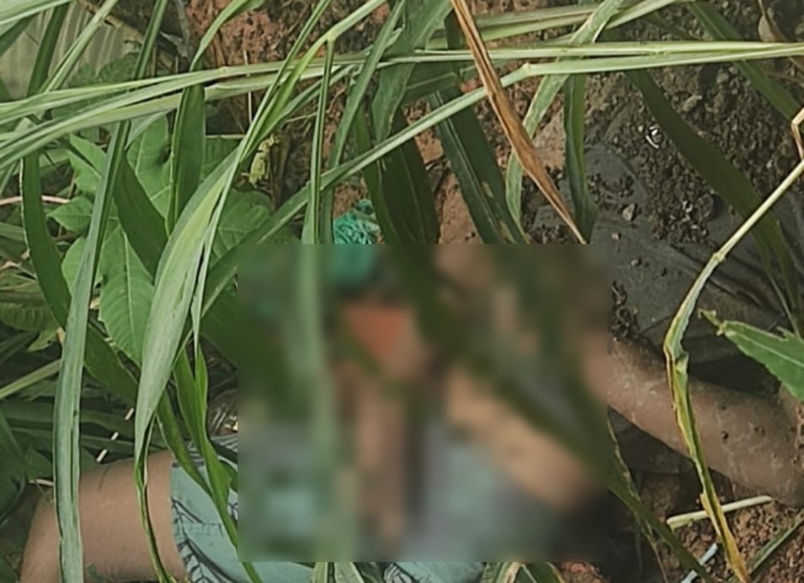 Homem encontrado morto sob viaduto em Volta Redonda é identificado