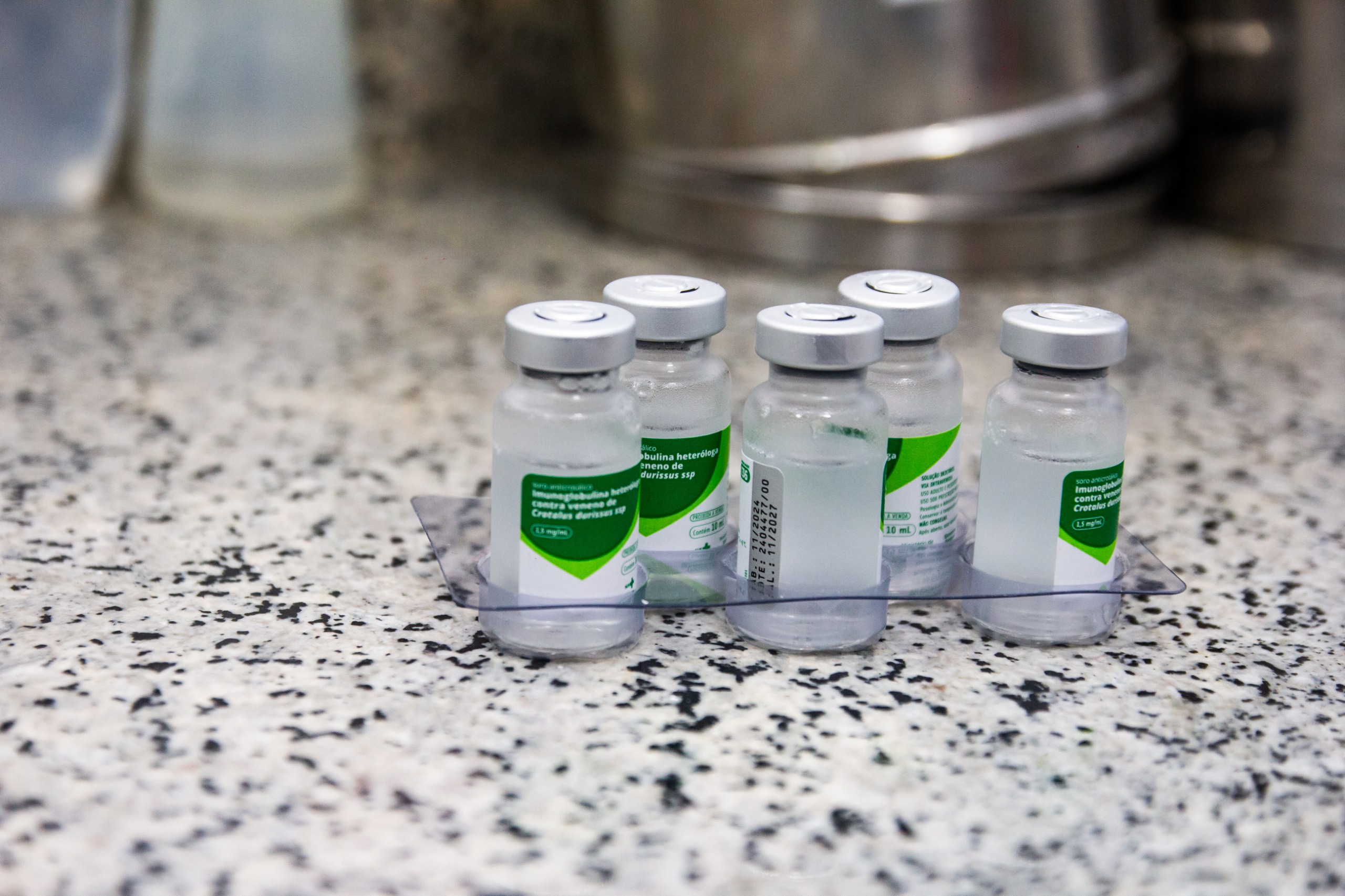 Morador de distrito de Barra do Piraí é picado por cascavel e recebe soro antiveneno