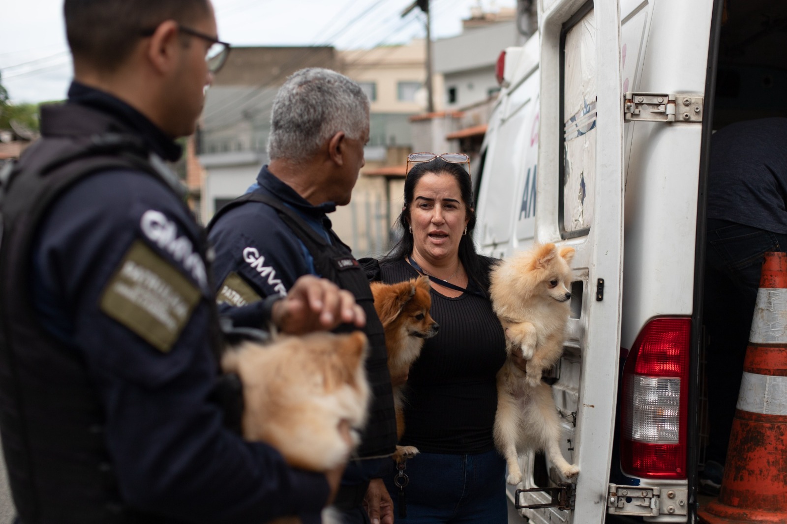 Forças de segurança fecham canil irregular em Volta Redonda