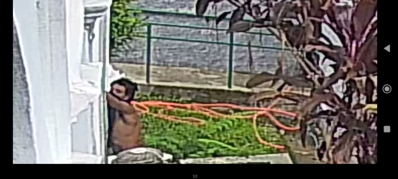 Prefeitura de Barra Mansa registra furto no Parque de Saudade