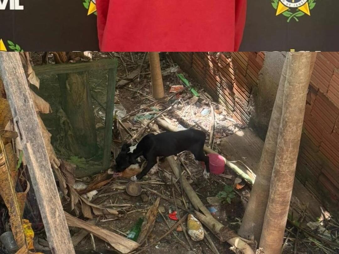 Homem é preso após polícia encontrar cães em situação de abandono extremo em Barra Mansa