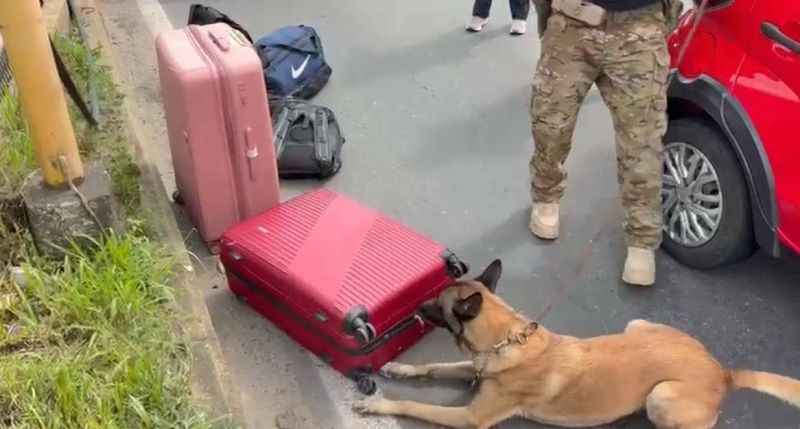Mulher é presa com arsenal em carro de aplicativo na Dutra, em Itatiaia