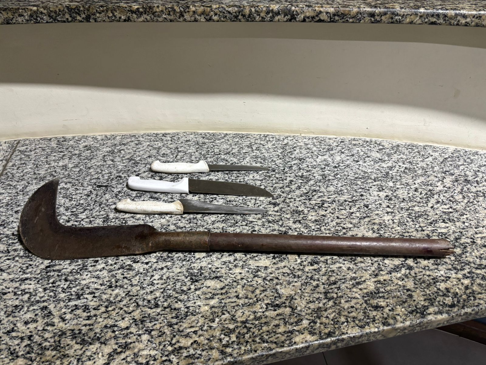 Homem usa foice e facas em ataque contra companheira e pai em Arrozal