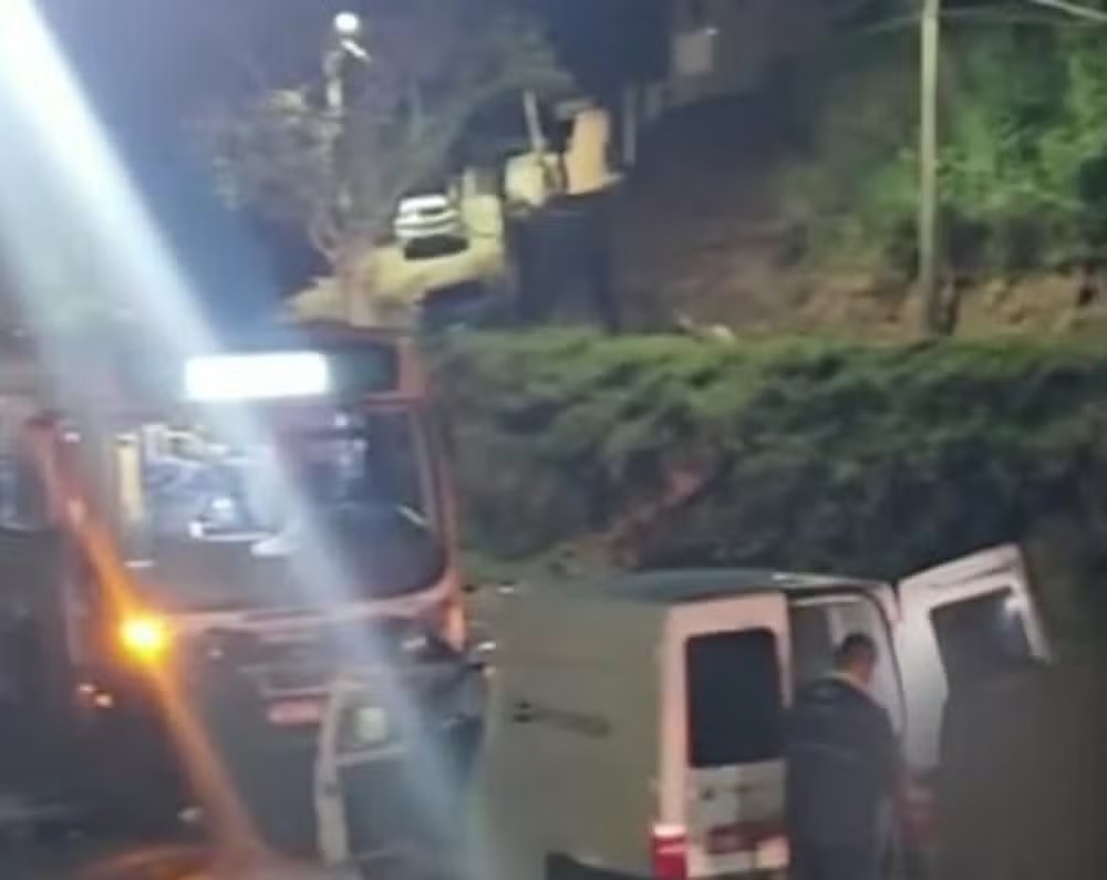 Ônibus atropela dois cavalos na RJ-127 e animais morrem em Vassouras