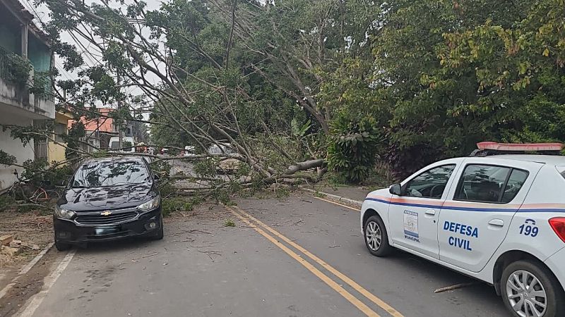 Queda de árvore bloqueia avenida e atinge carro e residência em Resende