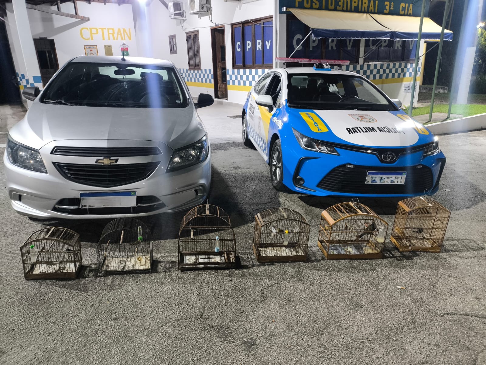 Polícia Rodoviária apreende aves silvestres transportadas sem autorização em Piraí