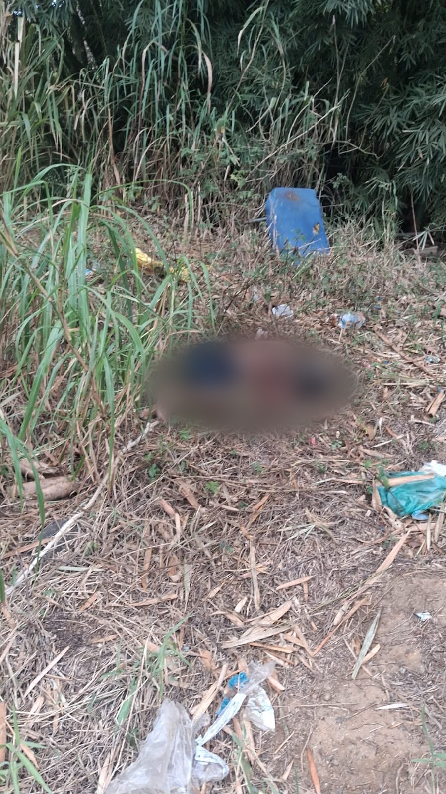 Corpo crivado de balas é encontrado em estrada de Quatis