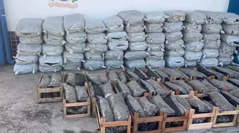 Homem é preso com mais de 500 quilos de maconha na Via Dutra, em Itatiaia