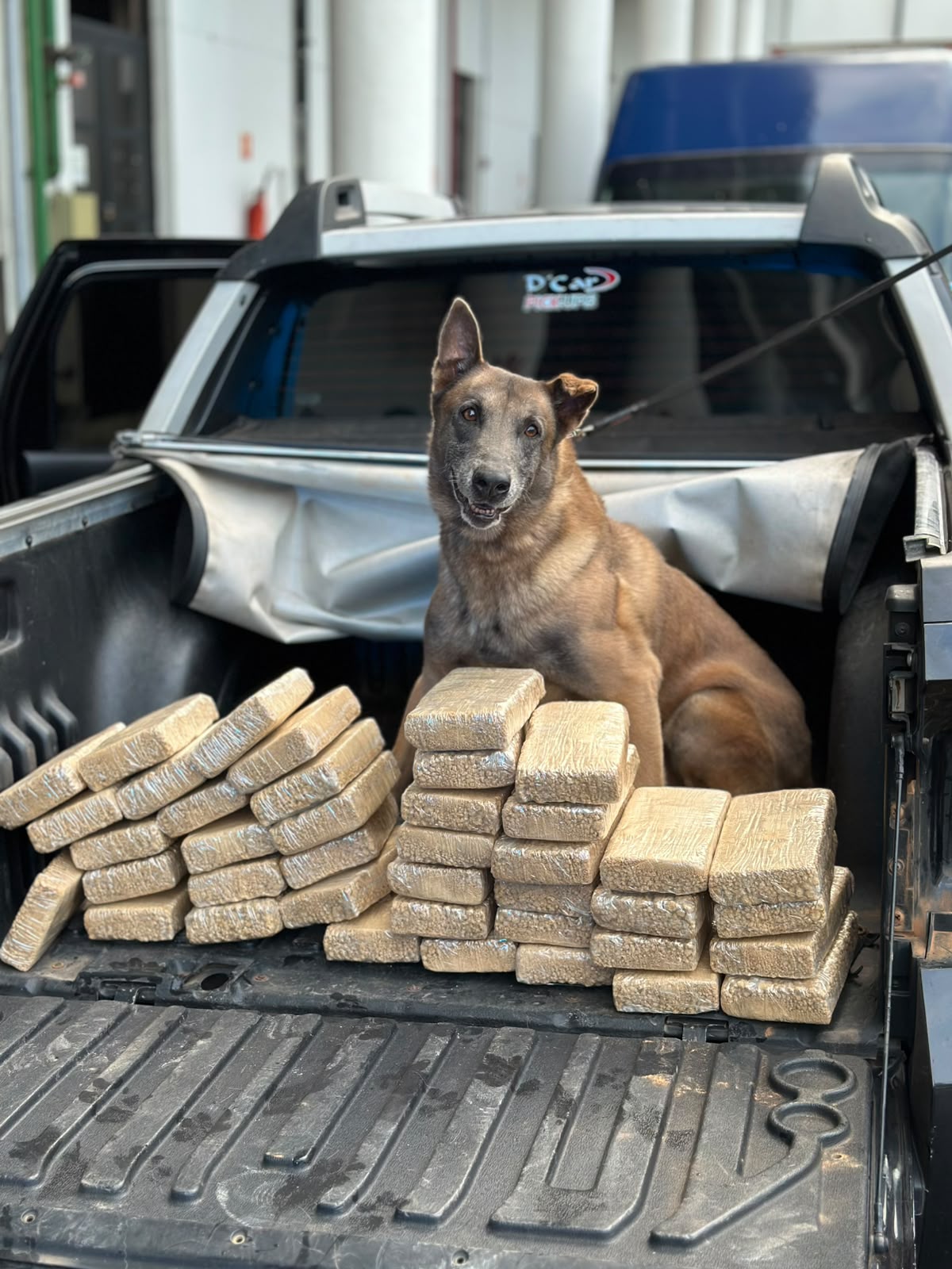 PF prende homem com 40kg de pasta base de cocaína em Piraí