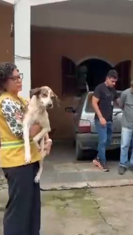 Homem é preso por maus-tratos a animais após novas denúncias em Barra Mansa