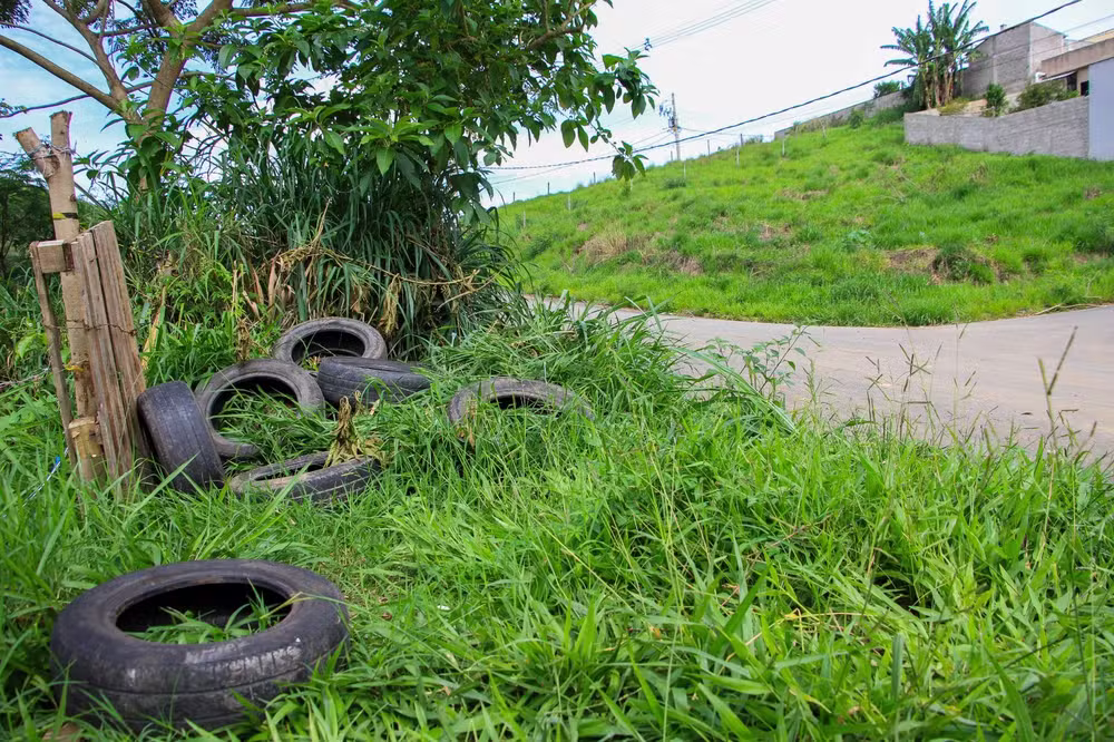 Prefeitura investiga descarte irregular de pneus em área verde de Barra Mansa