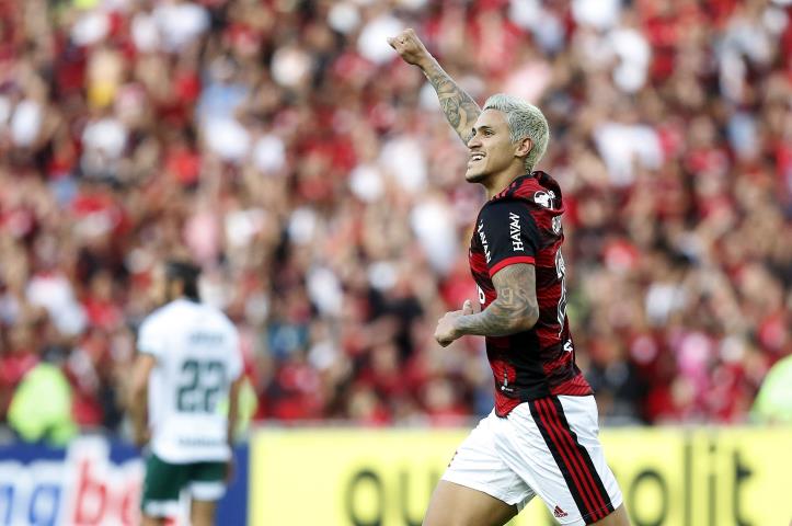 Pedro marca e Flamengo derrota o Goiás