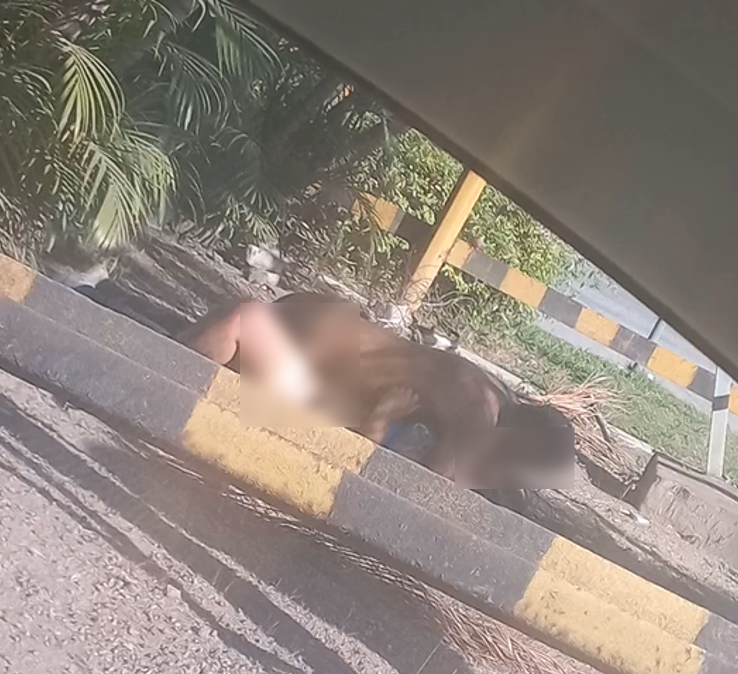 GM detem casal que fazia sexo ao ar livre em Volta Redonda