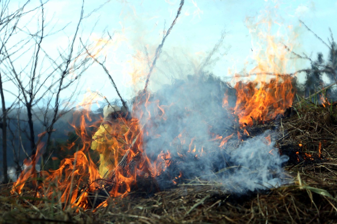 Guarda Ambiental de Barra Mansa realiza patrulhamento preventivo contra queimadas