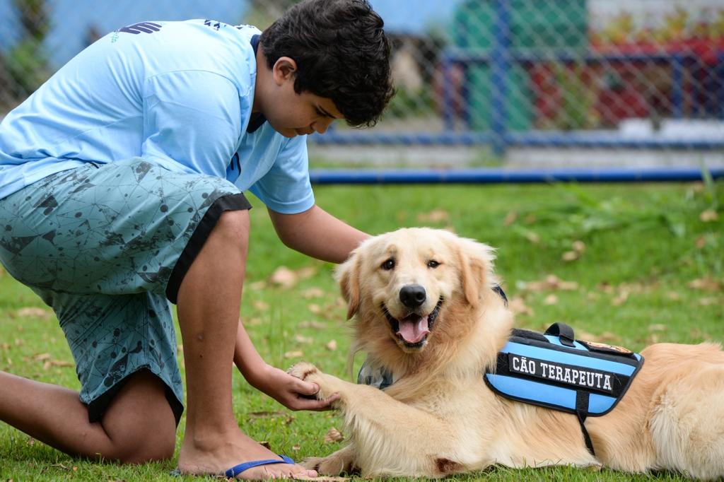 Barra Mansa: Cão da raça golden retriever leva suporte terapêutico a crianças autistas